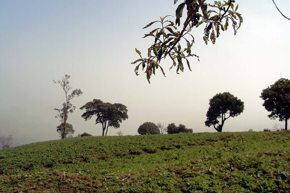 Protection of dry farmlands and preservation of natural ecosystems